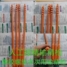 母猪输精管 多次性输精管母猪橡胶输精枪多次性输精管猪用 螺旋状母猪授精管猪用输精管 猪多次用螺旋输精枪1根装