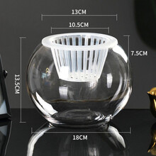 水培容器玻璃透明水培花瓶玻璃花瓶水培植物花瓶水养绿萝花盆 【18圆球】棉绳定植篮 中等