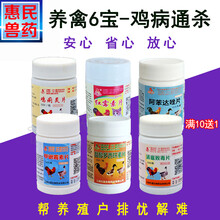 家禽鸡药药片大全止痢气喘鸡药鸡用养鸡专用药氟苯尼考片兽用兽药 6宝小药箱