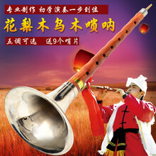 京炫（JINGXUAN)乌木唢呐D调初学者成人儿童乐器全套C调 大小F调 降B唢呐 带哨片 乌木D调(蓝碗)+唢呐包+