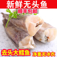 悦芳华旗舰店 鳕鱼整条新鲜海鲜水产冷冻无头鱼银狭鳕鱼东北明太鱼海鱼雪鱼 【十斤】酒店专用