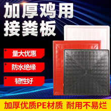 耐尔尼 鸡用接粪板鸡粪托盘养鸡育雏鸡笼用塑料漏粪板 红色70*70