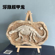 恐龙化石 考古挖掘玩具大号霸王龙剑龙翼龙模型摆件儿童手工3-6-9岁男孩女孩玩具【京闪配送】 浮雕版  甲龙