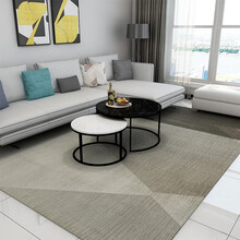 瑰丽易秀 地毯客厅简约现代北欧灰色客厅地毯超大沙发客厅地毯轻奢卧室地毯床边毯茶几毯家用客厅容易清理 图片色 2m*2.9m