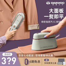韩国大宇（DAEWOO）手持挂烫机熨烫机家用小型蒸汽熨斗便携式平烫熨衣服神器 豆荚绿