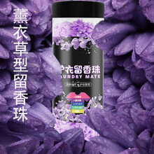 【持久留香】留香珠持久香味洗衣柔顺剂洗衣液伴侣衣物清香 薰衣草香 240g【1瓶装】