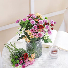 （linkinjoy） 小雏菊混色5枝鲜花生活家居七夕生日礼物 基地直发L