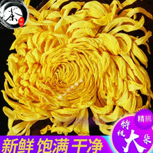 古山茶修水金丝皇菊级特贡菊 一朵一杯菊花茶小包装盒装江西金丝黄菊花草茶 30朵礼盒