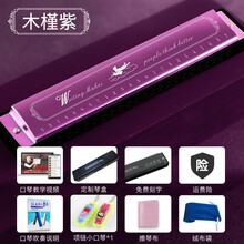 京炫（JINGXUAN)romusic口琴儿童初学者学生成人24孔复音c调入门乐器便携小众 木槿紫【送自学+绒布袋+小口琴】