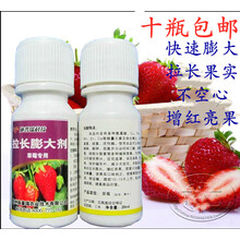 草莓叶面肥草莓膨大素拉长素 施普瑞拉长膨大剂20克/瓶