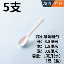 咖啡勺调料勺调味勺搅拌勺棒长柄小勺子陶瓷罐盐辣椒甜品厨房婴儿勺量勺q 超小号调料勺5支 超小慎拍注意尺寸