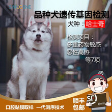 希诺谷狗狗泰迪金毛哈士奇等品种遗传病基因检测 哈士奇