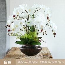 湿感胶花蝴蝶兰仿真花花艺摆件套装绢花花卉假花装饰花客厅 白色