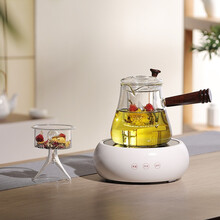 诺洁仕（LOCUS）电陶炉茶炉家用功夫热泡蒸煮烧水炉迷你不挑玻璃陶瓷铁壶光波电磁炉机器 简洁白色陶瓷茶炉+800ml侧把壶B款(双胆)