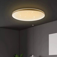 飞利浦智睿LED吸顶灯智能流萤系列客厅灯卧室灯餐厅灯饰现代简约小米AI米家APP智能控制 流萤吸顶灯28W