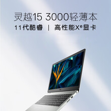 戴尔（DELL）轻薄本成就3000网课商务办公便携笔记本电脑 15.6英寸3501：i5-1135G7 锐炬显卡 8G/256G固态+1T机械 定制
