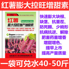 红薯控旺膨大素 地瓜专用控秧膨大素防裂皮叶面肥木薯甘薯膨大素 红薯控旺增甜30克x2袋