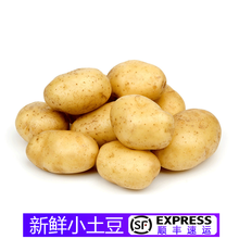 【顺丰】新鲜小土豆 马铃薯迷你洋芋 500g