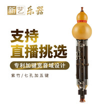 新艺乐器 葫芦丝乐器 紫竹加5键超九孔葫芦丝乐器专业演奏型C/降B调9孔宽音 成人 【天然葫芦+紫竹F调】反手加5键