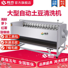 羚木 清洗机商用大型土豆去皮机商用脱皮机 萝卜生姜莲藕红薯芋头毛辊洗菜机实惠 800型