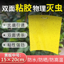 【强力】多规格黄板双面粘虫板诱虫板沾虫纸贴黄色沾室内花草小飞虫蓟马灭果蝇粘板菜地果园田地大棚粘蝇贴 中号15*20cm 200张