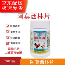 兽药鸡药禽药小鸡用盐酸氯苯胍片禽兔用氟苯尼考片土霉素片鸡球虫 阿莫西林片 10瓶