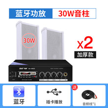 先科有源音柱防水室外无线蓝牙壁挂式音响套装公园学校幼儿户外挂墙门店铺商用音箱喇叭操场广播餐厅超市彩屏 100瓦+2条30瓦加厚音柱