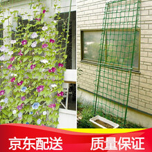 瑾禾  葡萄爬藤网 蔷薇爬藤线 丝瓜黄瓜南瓜百香果爬藤架网子 1.8*3.6米爬藤网