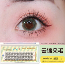 乐哉美妆嫁接睫毛自然 0.07A型仙女毛柔软美睫分段单簇种植假睫毛 0.07 C 10mm