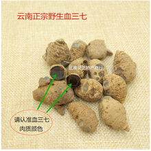 血三七云南野生血山七中药材正宗铁打损伤血野生泡酒料苗药 血三七统货【250克】