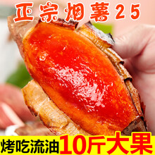 山东烟薯25号糖心蜜薯红薯新鲜10斤烤红薯农家沙地地瓜香山芋 9斤 中果