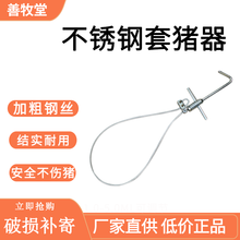 石佳（shijia）兽用套猪器 不锈钢猪用保定器 套猪器械 猪套头器 猪套子养猪设备 一个