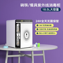 小白熊消毒柜家用小型18.5升紫外线碗筷消毒柜白金刚安全无汞HL-2003 白雪