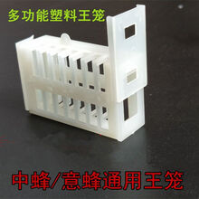 蜂具养蜂工具塑料王笼蜜蜂多功能蜂王笼囚蜂王囚王笼中蜂蜂箱 塑料王笼【100个装】