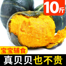 梓乐果 贝贝南瓜板栗老南瓜5斤日本甜糯婴儿小南瓜泥新鲜宝宝辅食10 3斤