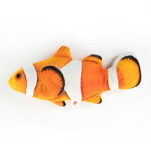 咖妃喵猫薄荷玩具鱼玩具自嗨猫薄荷填充玩具猫咪逗猫毛绒抱枕长约30cm 小丑鱼小号