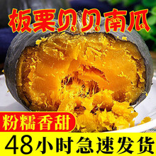 云南板栗贝贝南瓜10斤板栗味贝贝小南瓜老南瓜10/5斤 【净重】5斤 现摘现发