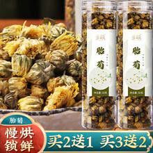 胎菊正宗无硫杭白菊花罐装优选胎菊王泡水喝消火抑菌明目养肝金银花菊花茶胖大海菊花白组合养生花草茶 胎菊买三贈二（发五罐）