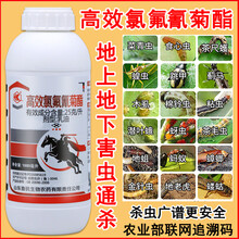 高效氯氟氰菊酯灭百可吡虫啉土壤农药杀虫剂蚜虫苍蝇蚊菜青虫药 1000ml