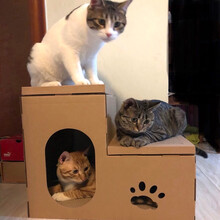 猫房子别墅瓦楞纸猫窝立式猫抓板窝磨爪器双层猫屋防猫抓沙发保护 双层阶梯猫屋