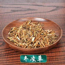 冬凌草 1g 抓中药材 药房发货 可代煎 联系客服 1g