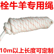 栓牛绳子的拴羊绳长10m/50m/100m米 栓羊绳子(长10m/粗10mm)
