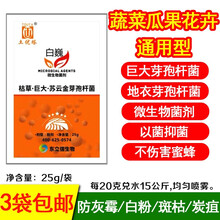 白巍微生物草莓黄瓜西瓜辣椒葡萄枯草芽孢杆菌地衣苏云金白粉灰霉