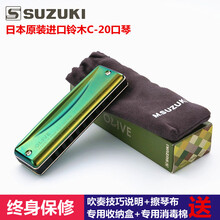 日本suzuki铃木C20蓝调全音阶10孔布鲁斯口琴初学者学生推荐 PADDY(爱尔兰)音阶D调