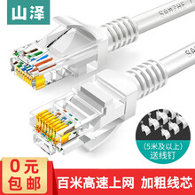 山泽 超五类网线 工程级高速CAT5e类百兆八芯双绞非屏蔽网络跳线 家用电脑网络连接线成品监控网线 贝吉色 3米