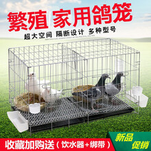 曦凰 白鸽笼鸽子笼养殖笼配对笼大号家用带隔断繁殖鸽笼 50*35*40带托盘