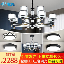 世元 【套餐包安装】北欧吊灯大气客厅灯简约现代餐厅灯具创意卧室灯饰轻奢组合套餐 灯臂发光-客厅12头-四室两厅套餐9-全屋三色调光