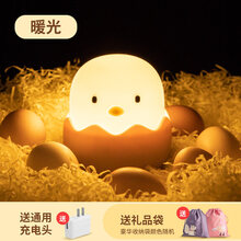 2021生日礼物解压灯玩具女减压神器鸡蛋小鸡发泄球摔不烂儿童创意礼物抖音网红同款 暖光+3C充电头 11cm