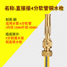 高压家用洗车水枪铜直喷式头浇花4分6分清洗软水管强力增压刷汽车 接4分管  铜直喷水枪