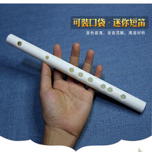 短笛子便携式 初学成人梆笛小G调无笛膜孔防裂降B调降E调学生横笛 ppr材质无笛膜孔 E调短笛子【约35cm】